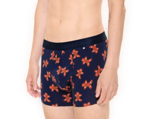 BOXER GINGERBREAD HAPPY SOCKS